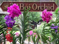 Парк орхидей
